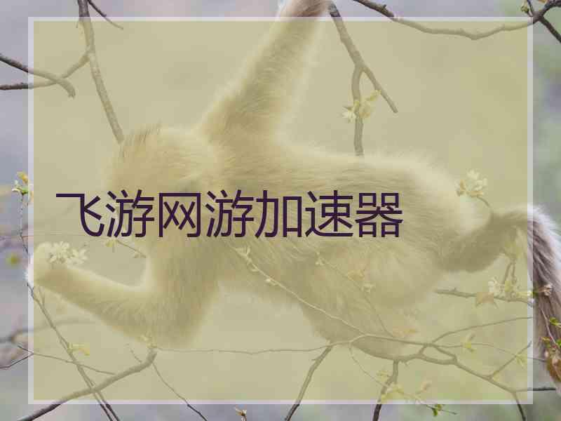 飞游网游加速器