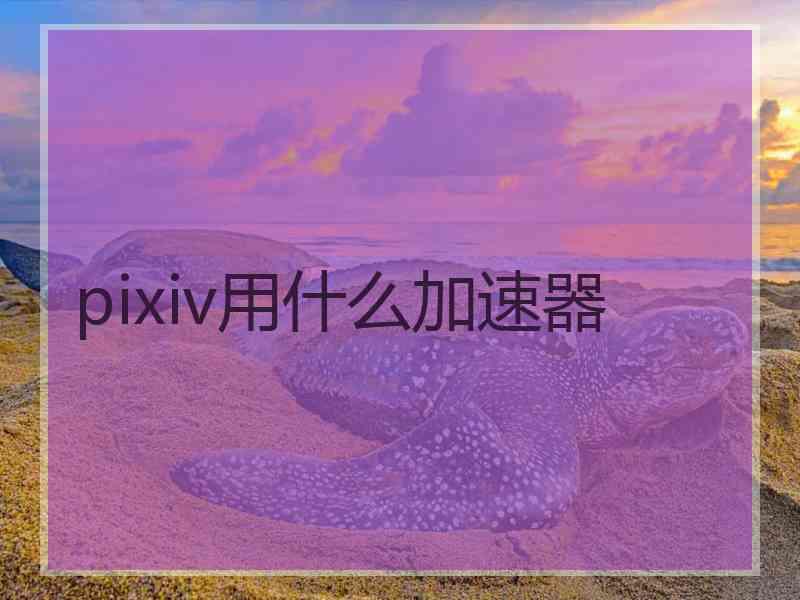 pixiv用什么加速器